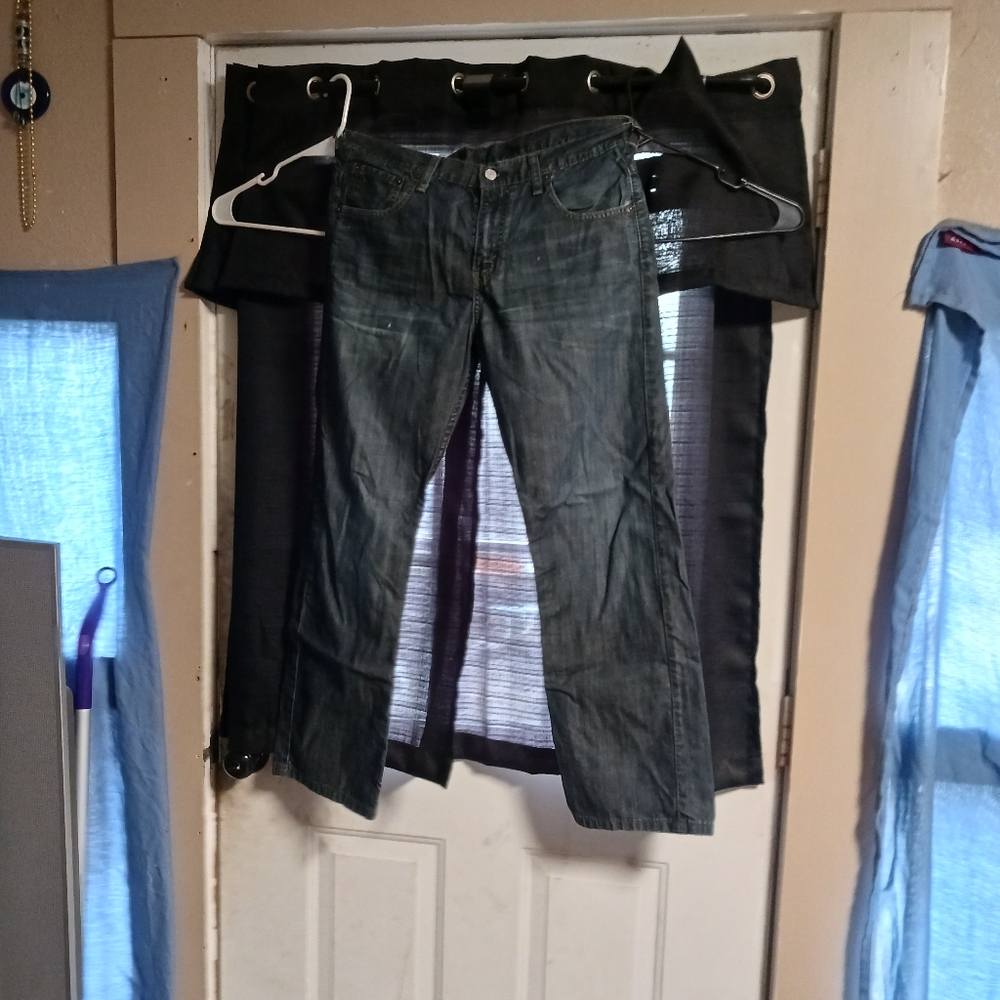 Levi's Skate Baggy 5 Pocket